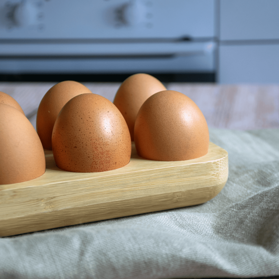 Egg tray - 12 slots