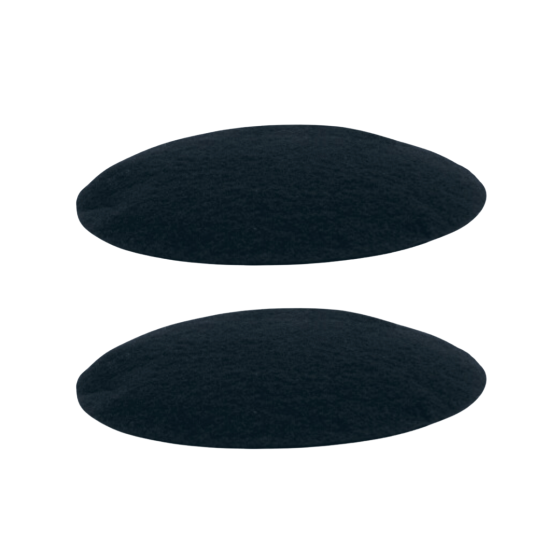 Set of 2 Charcoal Filters